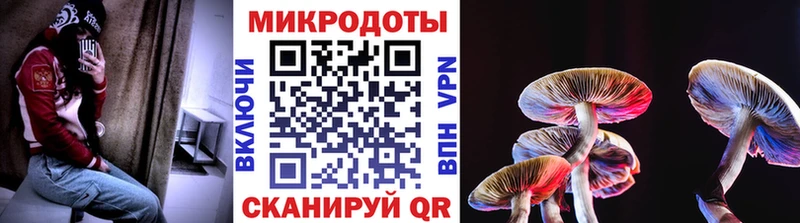 Купить  Жуковский  Галлюциногенные грибы мицелий 